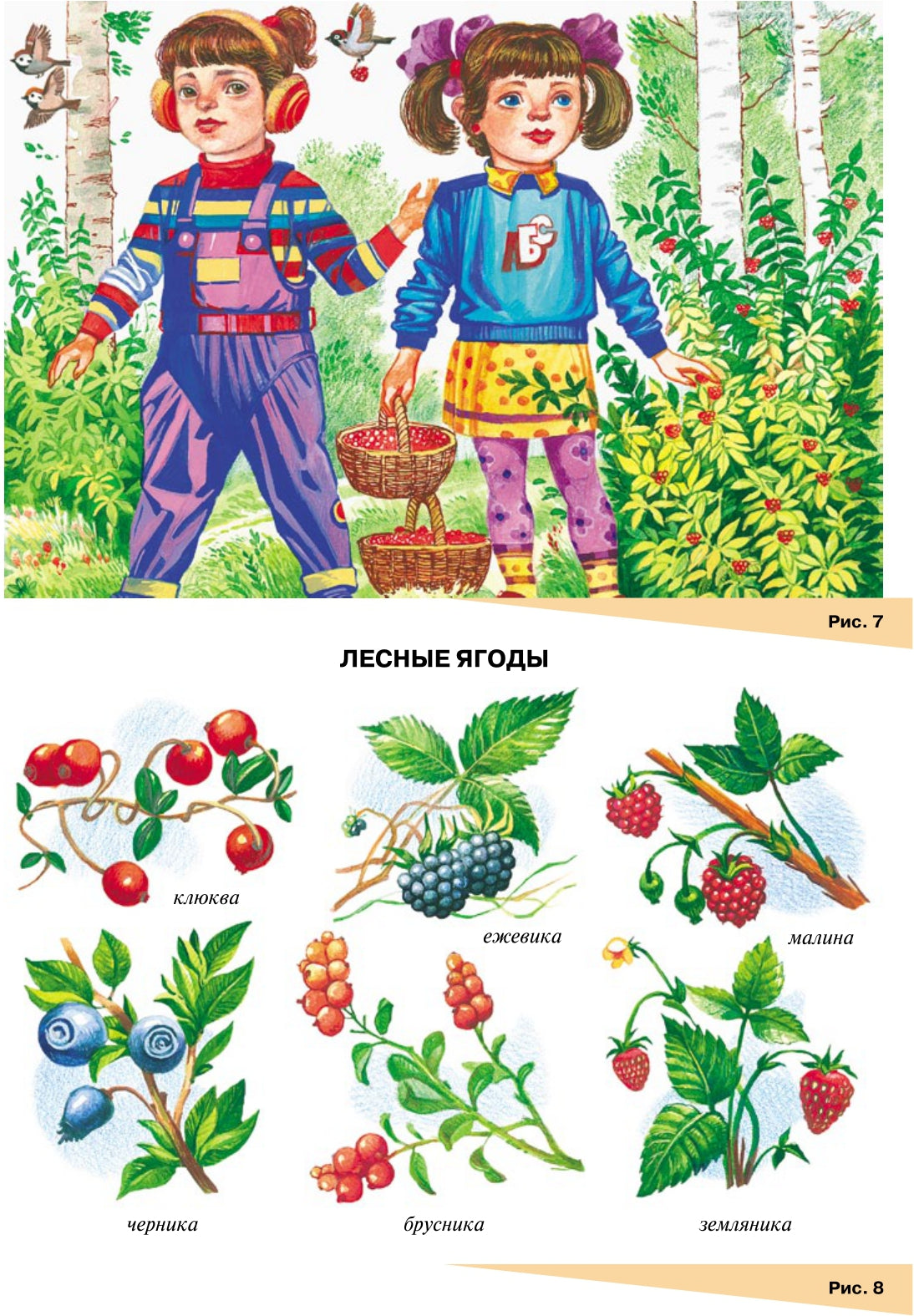 Занимаемся вместе. Старшая логопедическая группа. Домашняя тетрадь №1. ФГОС.