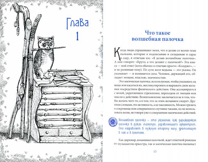 Жезл ведьмы. Изготовление, история и магические свойства волшебных палочек (3500)