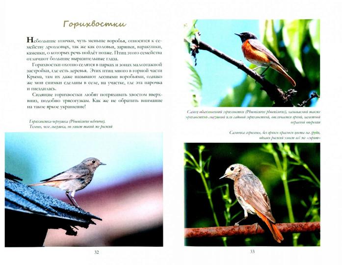 О птицах. Очерки и рассказы