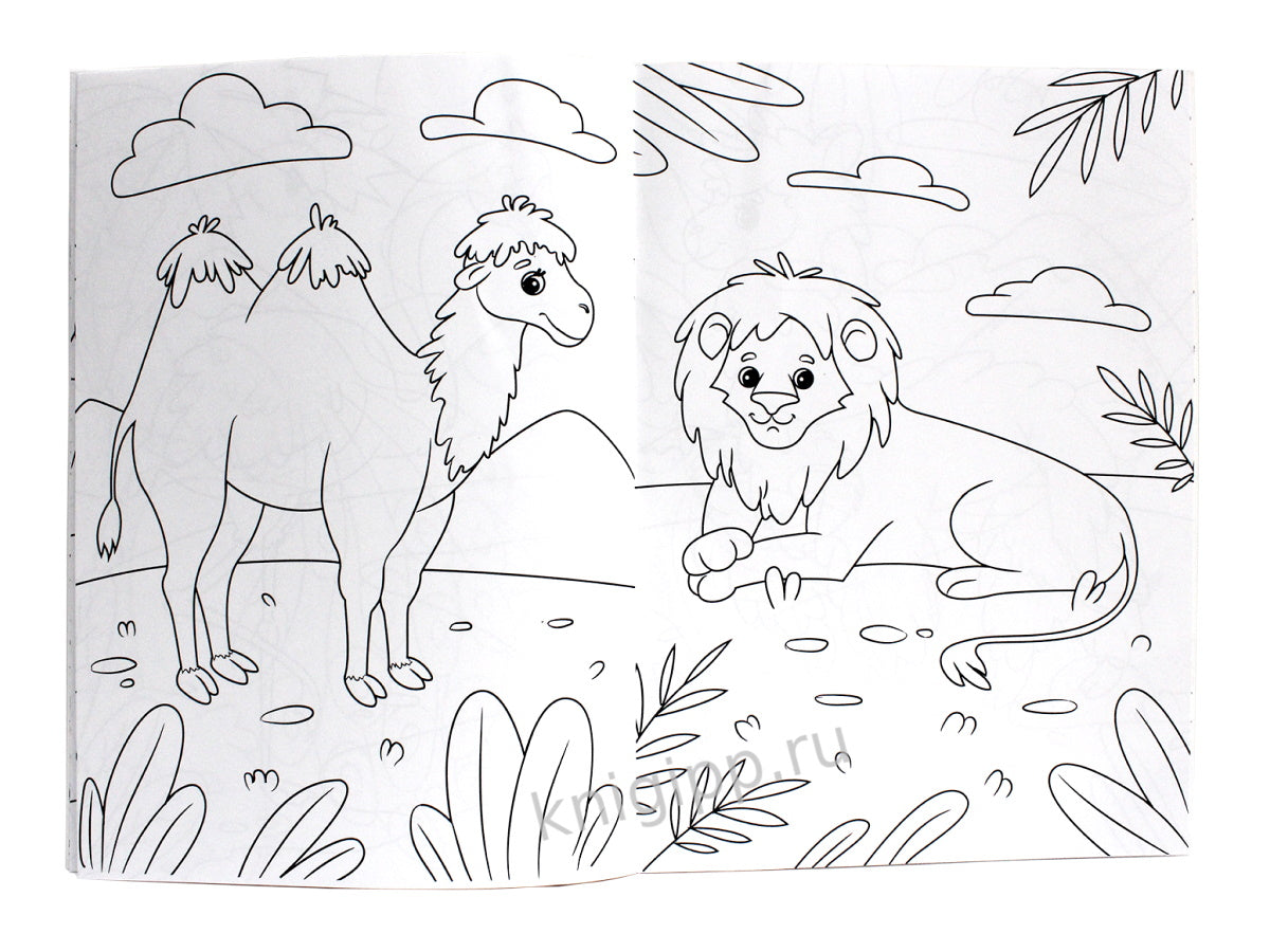 МОЯ РАСКРАСКА А4 чёрная. В ЗООПАРКЕ