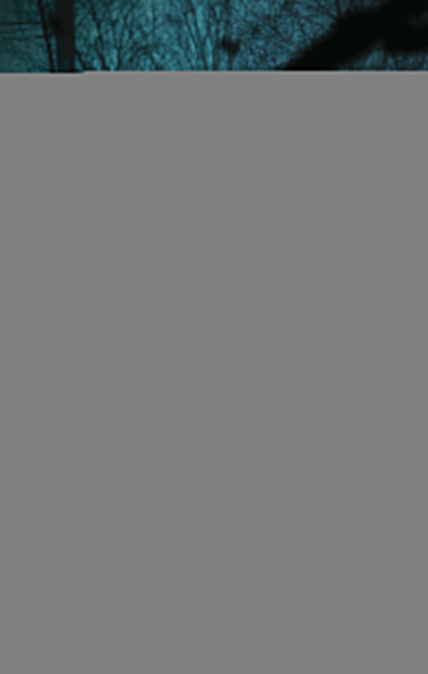 Безликий свидетель