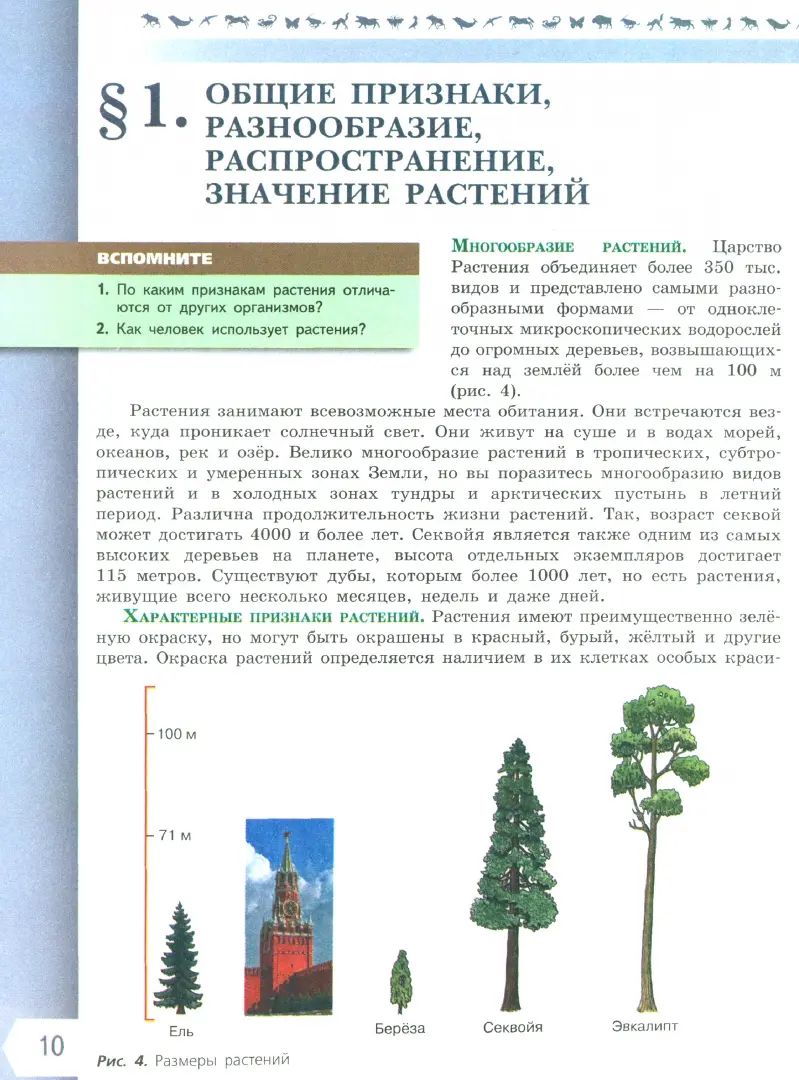 Пасечник Биология 6 кл. (Приложение 1) Учебник (Серия "Линия жизни") (1-е издание)