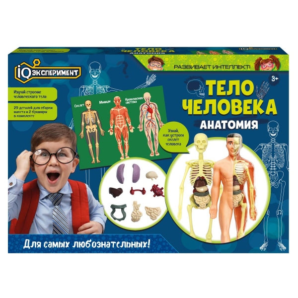 Опыты анатомия тело человека, кор. IQ Эксперимент в кор.2*18шт