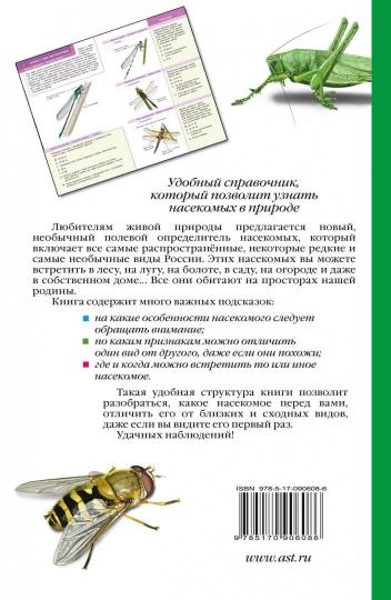 Насекомые России