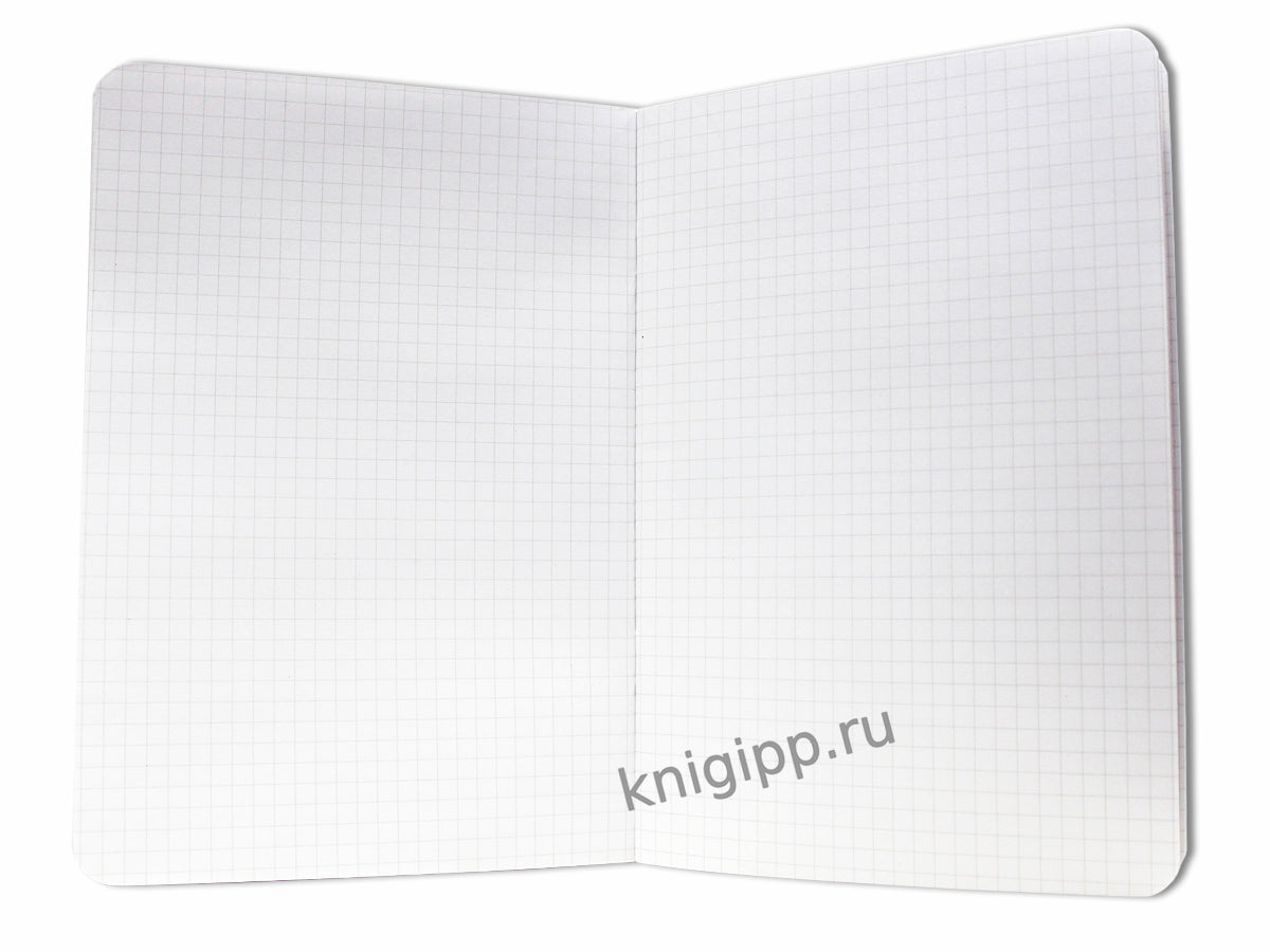 Gatto Rosso. Блокнот в клетку My notebook. НЕЖНОСТЬ