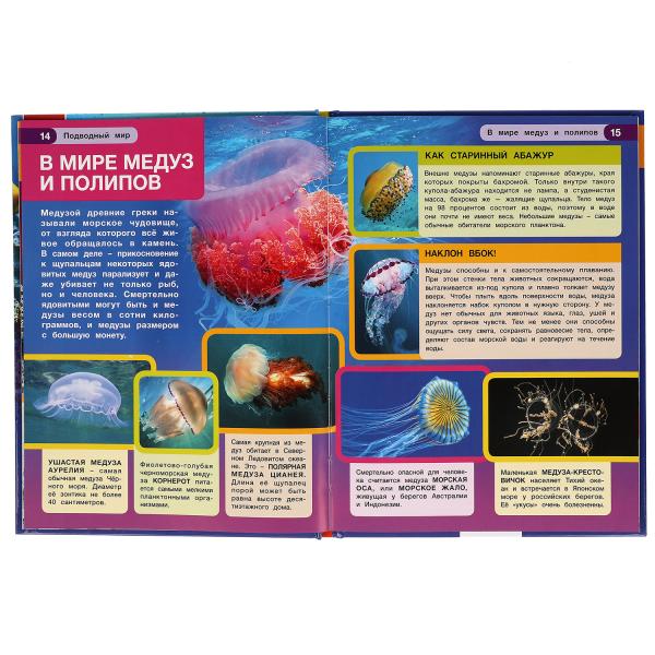"УМКА". ПОДВОДНЫЙ МИР. ЭНЦИКЛОПЕДИЯ А4 С РАЗВИВАЮЩИМИ ЗАДАНИЯМИ. 197Х255ММ, 48 СТР. в кор15шт