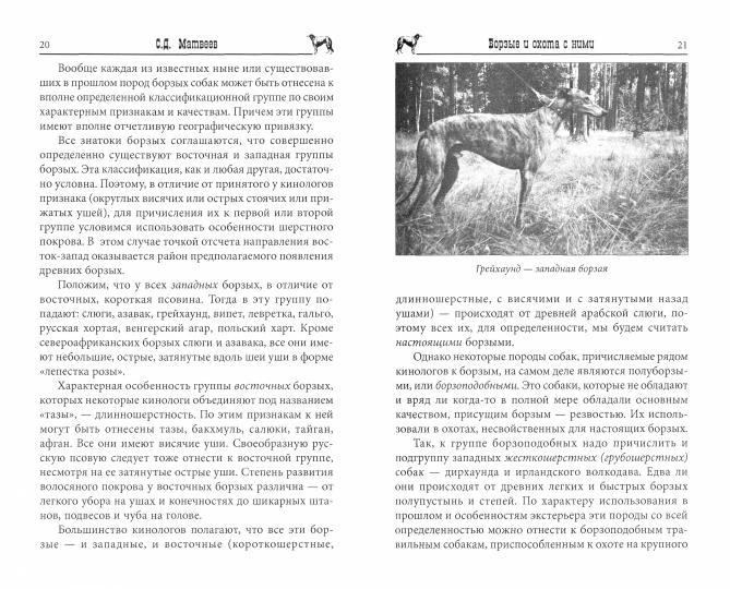 ОССВР Борзые и охота с ними (16+)