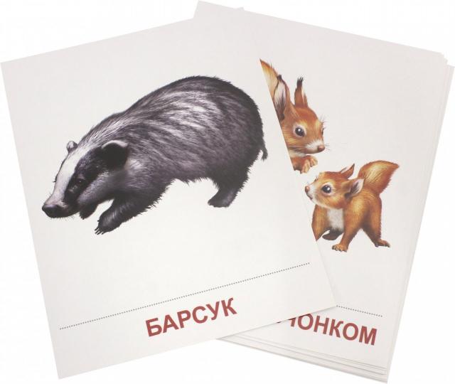 Демонстр. картинки "Дикие животные -1" (173х220мм)