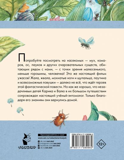 Необыкновенные приключения Карика и Вали