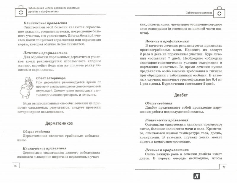 Заболевания мелких домашних животных