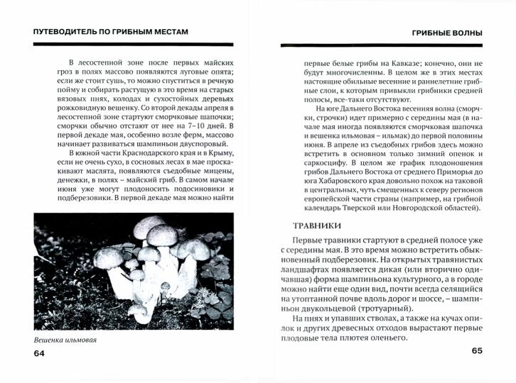 Путеводитель по грибным местам. Грибной календарь.-М.:Проспект,2021.