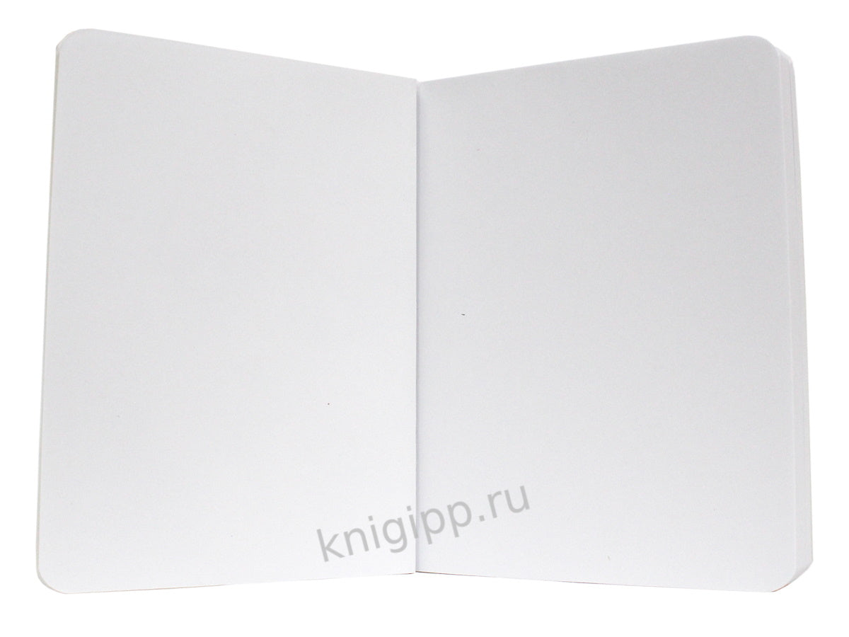 MyArt. MeowBook СКЕТЧБУК. Рыжий котик