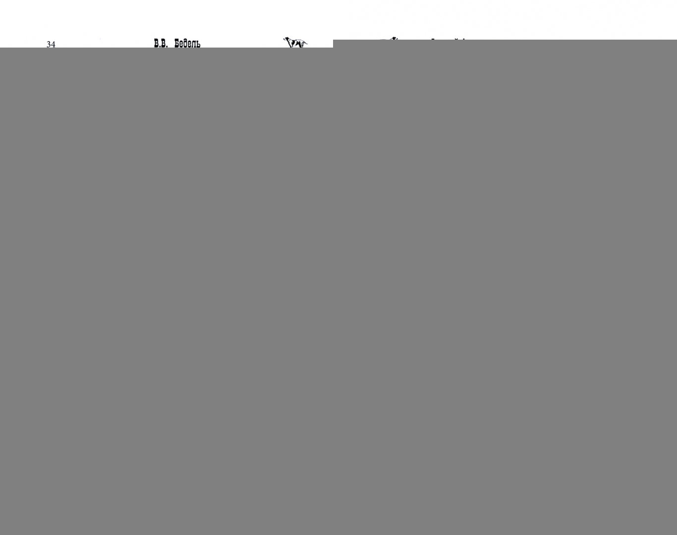 Английские легавые и охота с ними