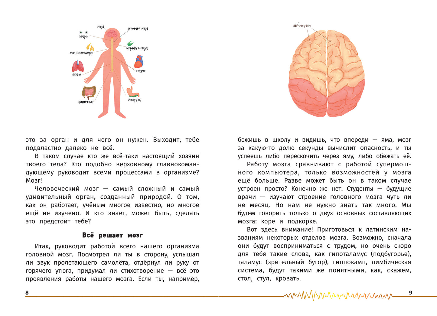 Не просто серое вещество! Изучи свой мозг и включи его!