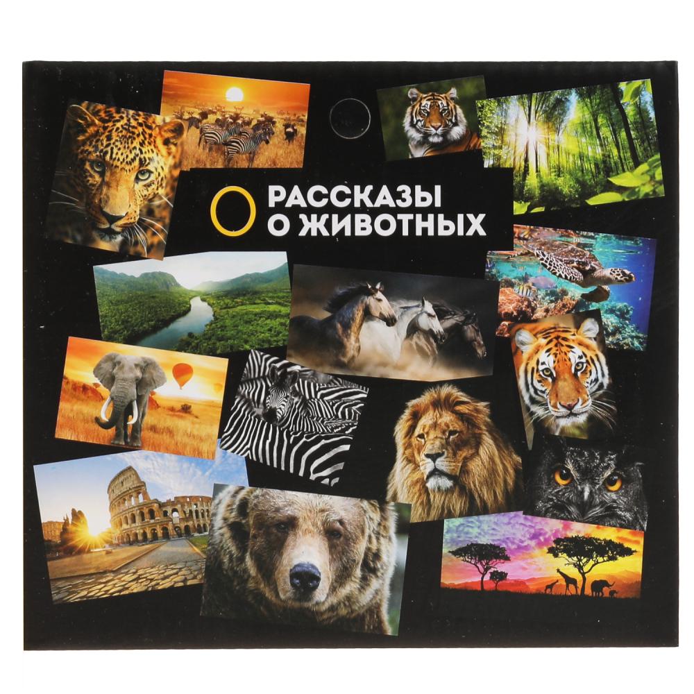 Игрушка пластизоль динозавр спинозавр 14*7*5см, инд. дисплей ТМ "ИГРАЕМ ВМЕСТЕ" в кор.2*90шт