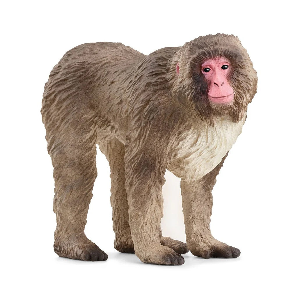 Schleich. Фигурка "Японская макака" арт.14871