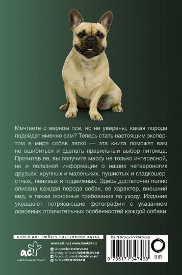 Собаки. Популярный иллюстрированный гид