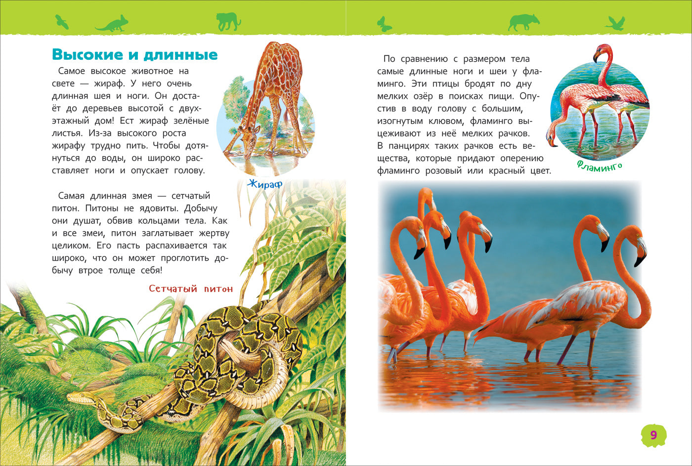 Удивительные животные (Энц-дия для детского сада)