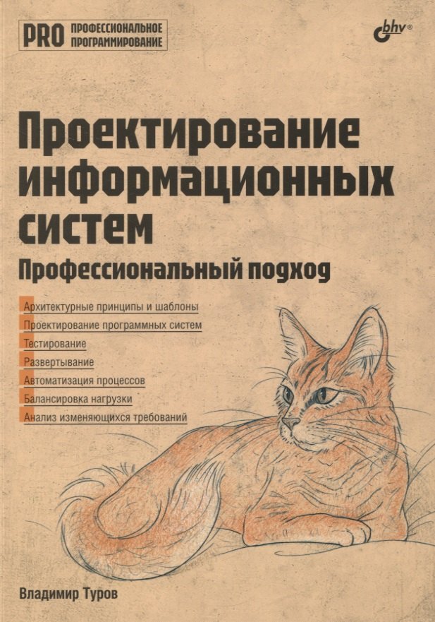 Профессиональное программирование. Проектирование информационных систем. Профессиональный подход