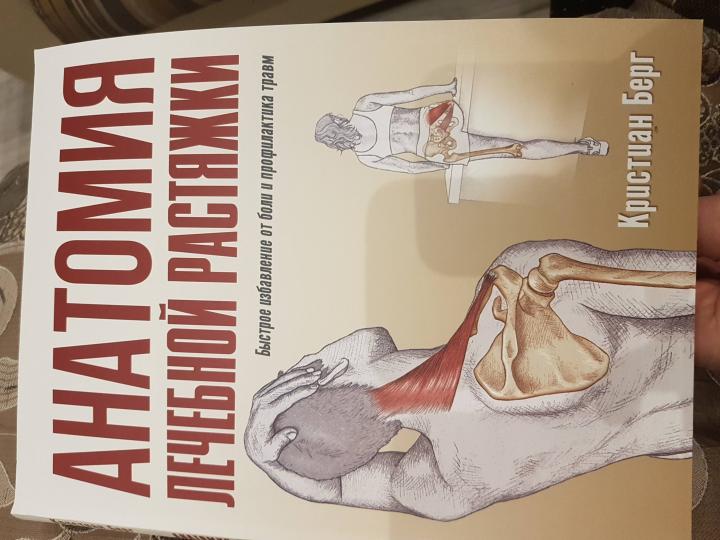 Анатомия лечебной растяжки: быстрое избавление от боли и профилактика травм