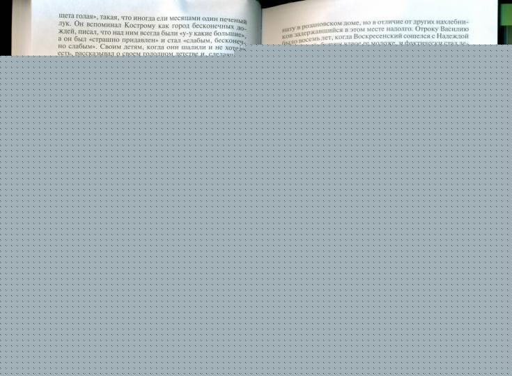 Имя Розанова