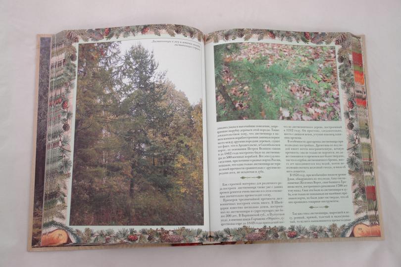 Беседы о русском лесе