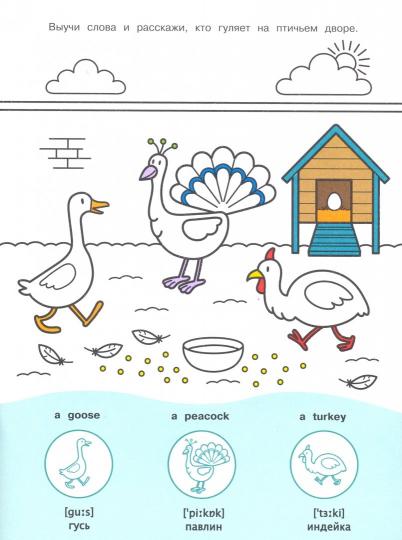 Мой первый English. Раскраска с наклейками. На ферме