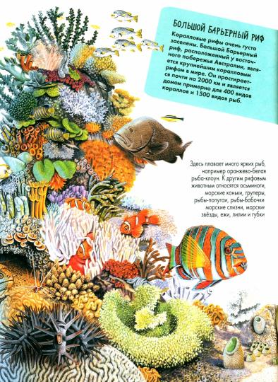 Подводный мир