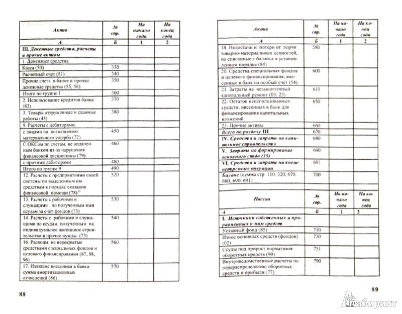 Эволюция бухгалтерской отчетности:учеб. пособие