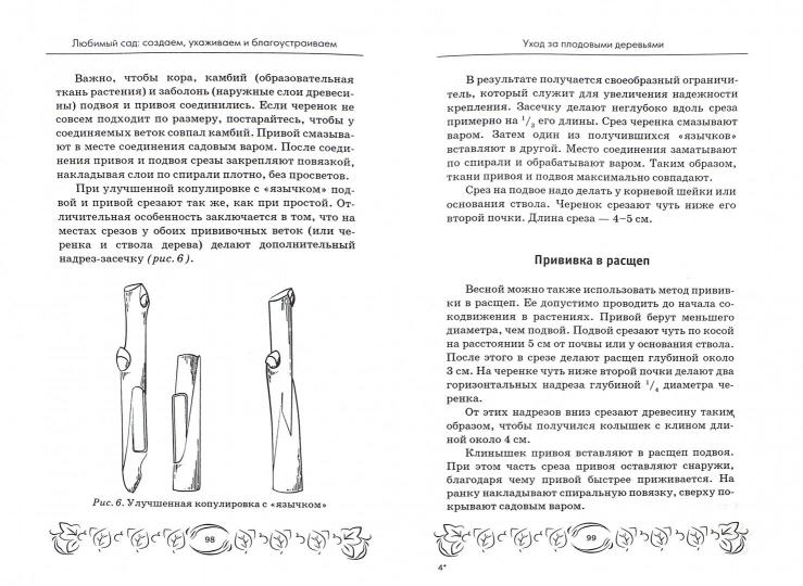 Любимый сад:создаем,ухаживаем и благоустраиваем