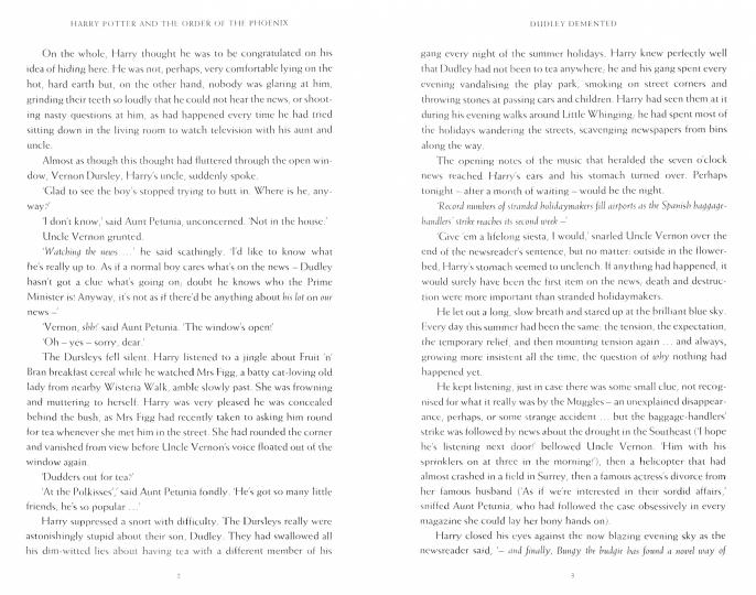 Harry Potter and the Order of the Phoenix Ravencl.