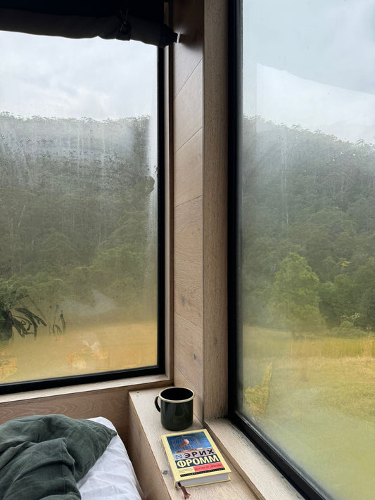 Где найти русские книги за рубежом: честный ответ