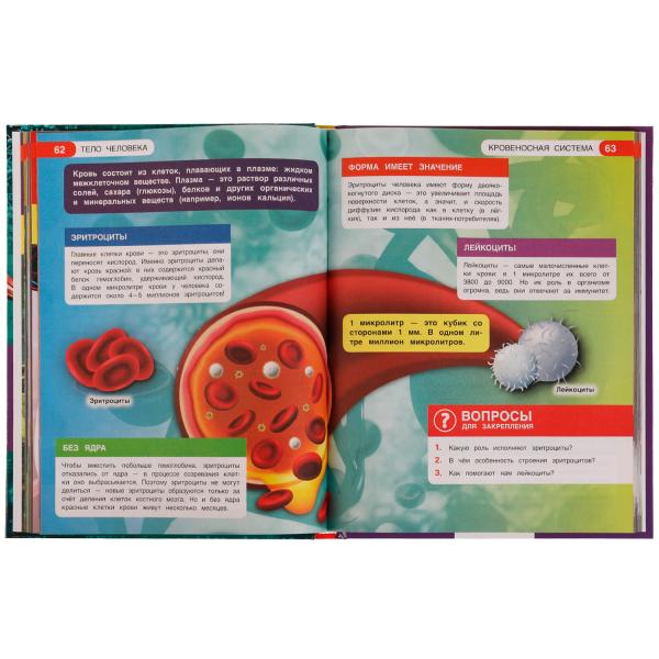 Тело человека. Энциклопедия А4. Все обо всем. 197х255мм, 192 стр. офсет бумага.Умка в кор.6шт