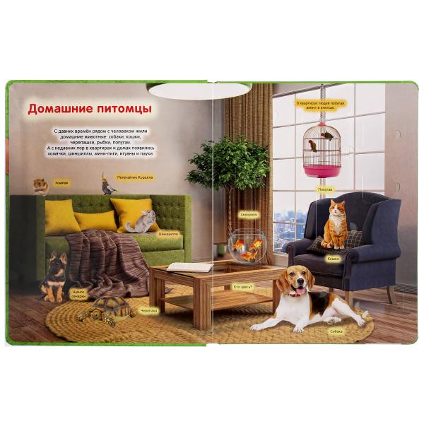 "УМКА". ЖИВОТНЫЕ. 100 ОКОШЕК ДЛЯ МАЛЫШЕЙ. ФОРМАТ: 222Х282 ММ. ОБЪЕМ: 12 КАРТОННЫХ СТР. в кор.12шт