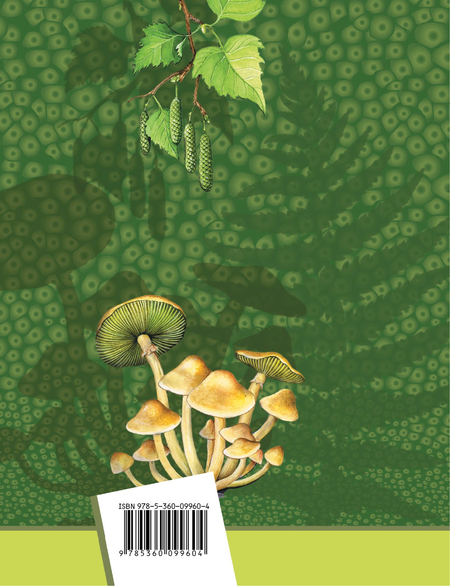 Биология. 6 кл. Учебник.