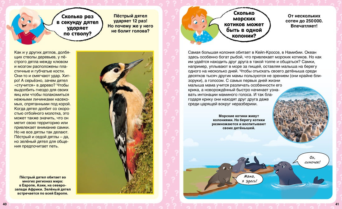 Сколько? 100 вопросов и ответов в картинках