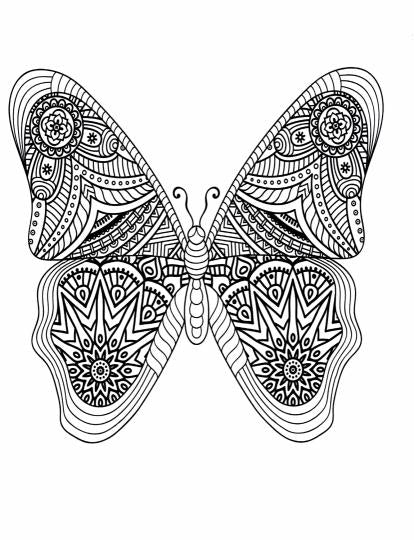 Бабочки. Творческая раскраска