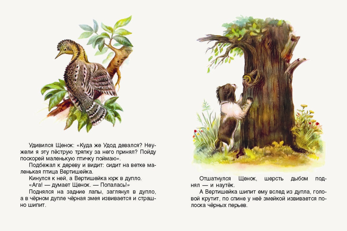 Первая охота. Странички-невелички. илл. Нецкой Е.