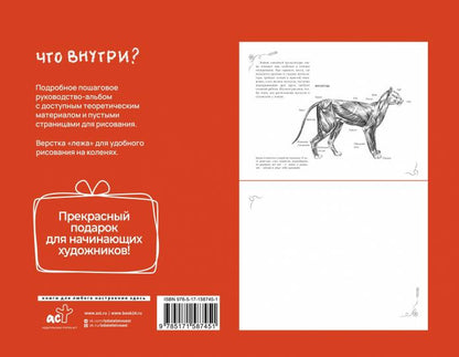 Анатомия для художников. Экспресс-курс + скетчбук