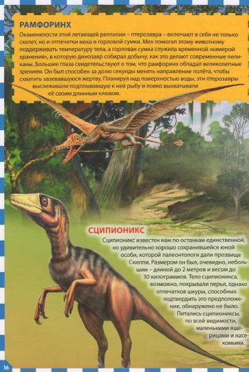 Осторожно, динозавры! Детская энциклопедия