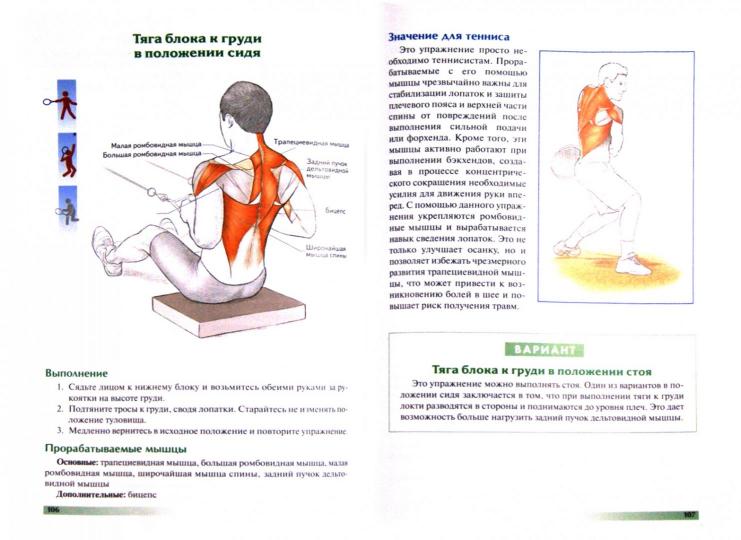 Анатомия тенниса