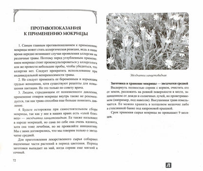 Сныть и мокрица. Мифы и реальность