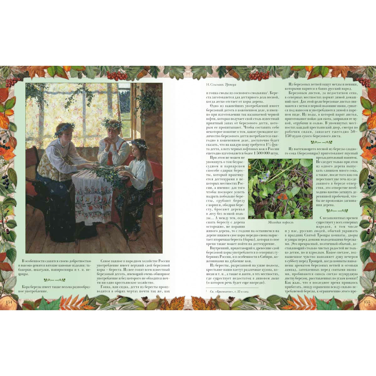 Беседы о русском лесе