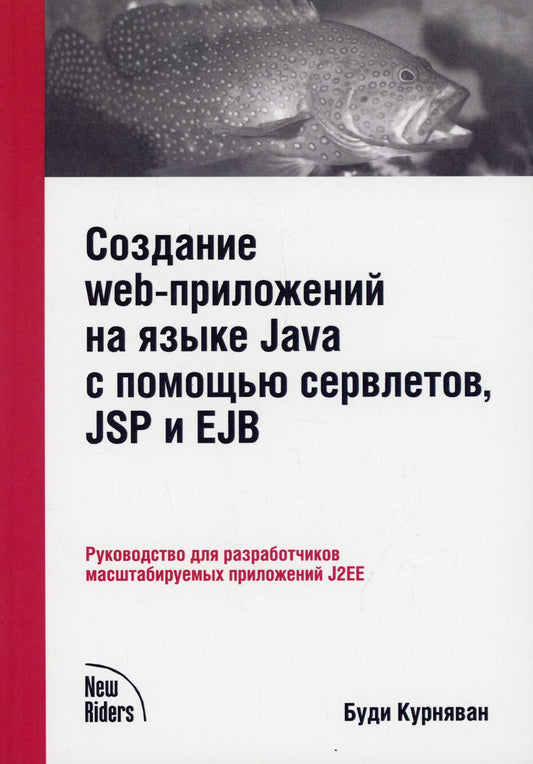 Создание WEB-приложений на языке Java с помощью сервлетов, JSP и EJB