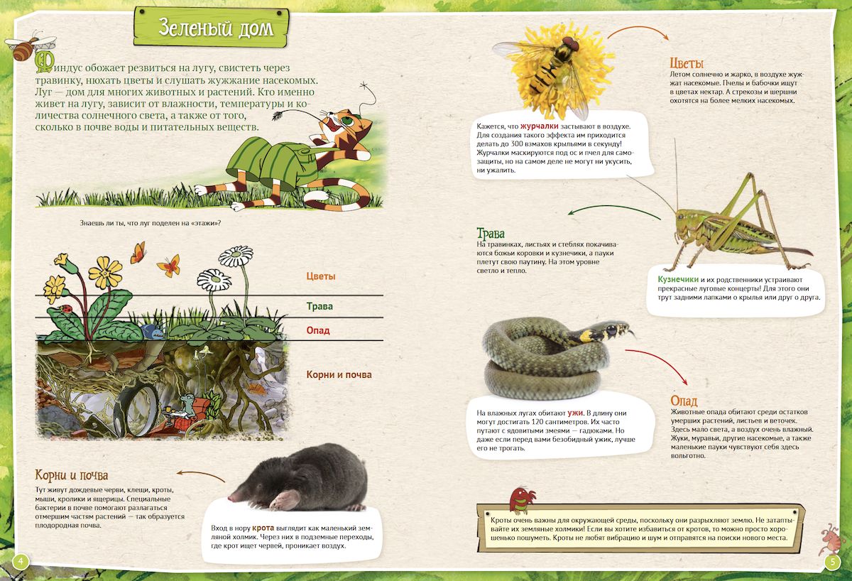 Петсон и Финдус изучают животных (второе издание, исправленное)