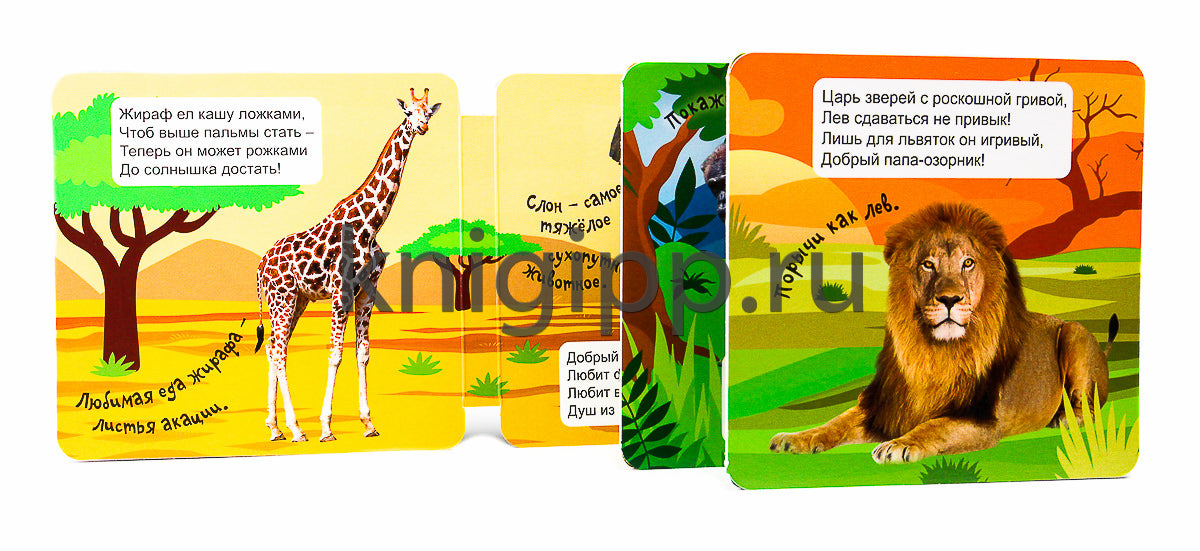 КНИЖКА-ГАРМОШКА. ДИКИЕ ЖИВОТНЫЕ