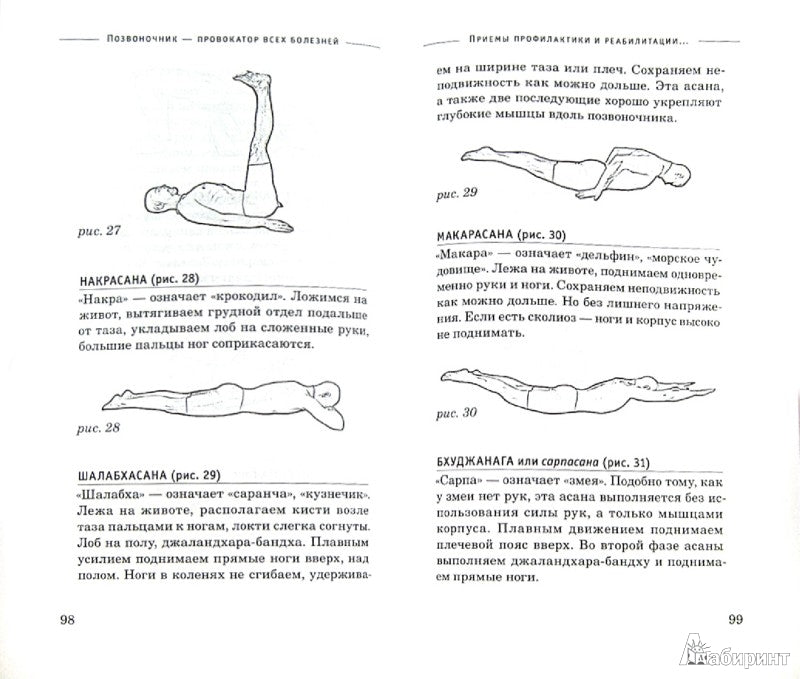 Позвоночник - провокатор всех болезней
