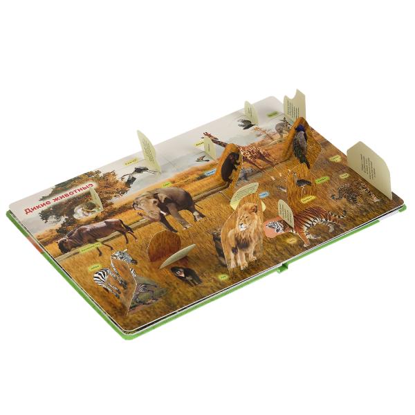 "УМКА". ЖИВОТНЫЕ. 100 ОКОШЕК ДЛЯ МАЛЫШЕЙ. ФОРМАТ: 222Х282 ММ. ОБЪЕМ: 12 КАРТОННЫХ СТР. в кор.12шт