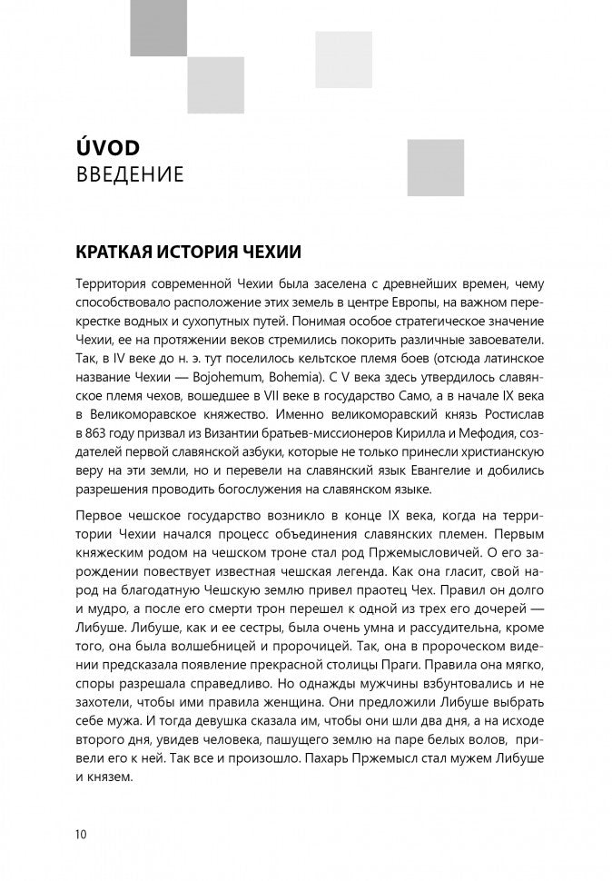 Чешский язык. Базовый курс