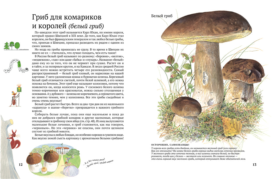 Софи в мире грибов